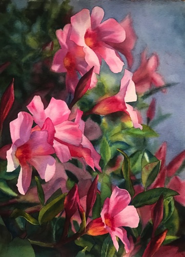 Pink Vine
20" x 15"
Private Collection Pink Vine
20" x 15"
Private Collection